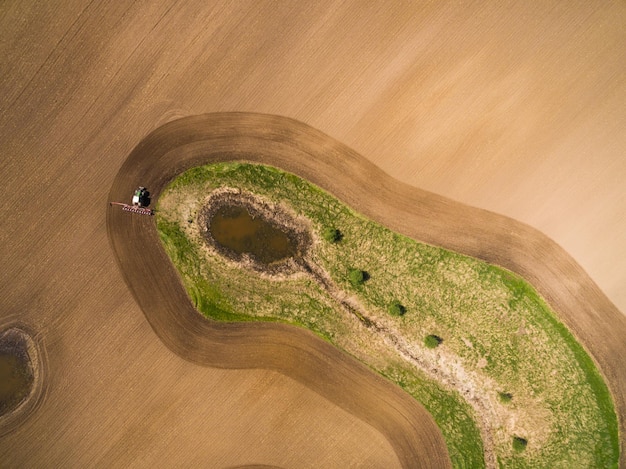 A drone dispersing seeds over a barren landscape, with small seedlings visible in the foreground. The image conveys hope and the potential for ecosystem restoration.