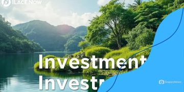 Sustainable investing: align your financial goals today